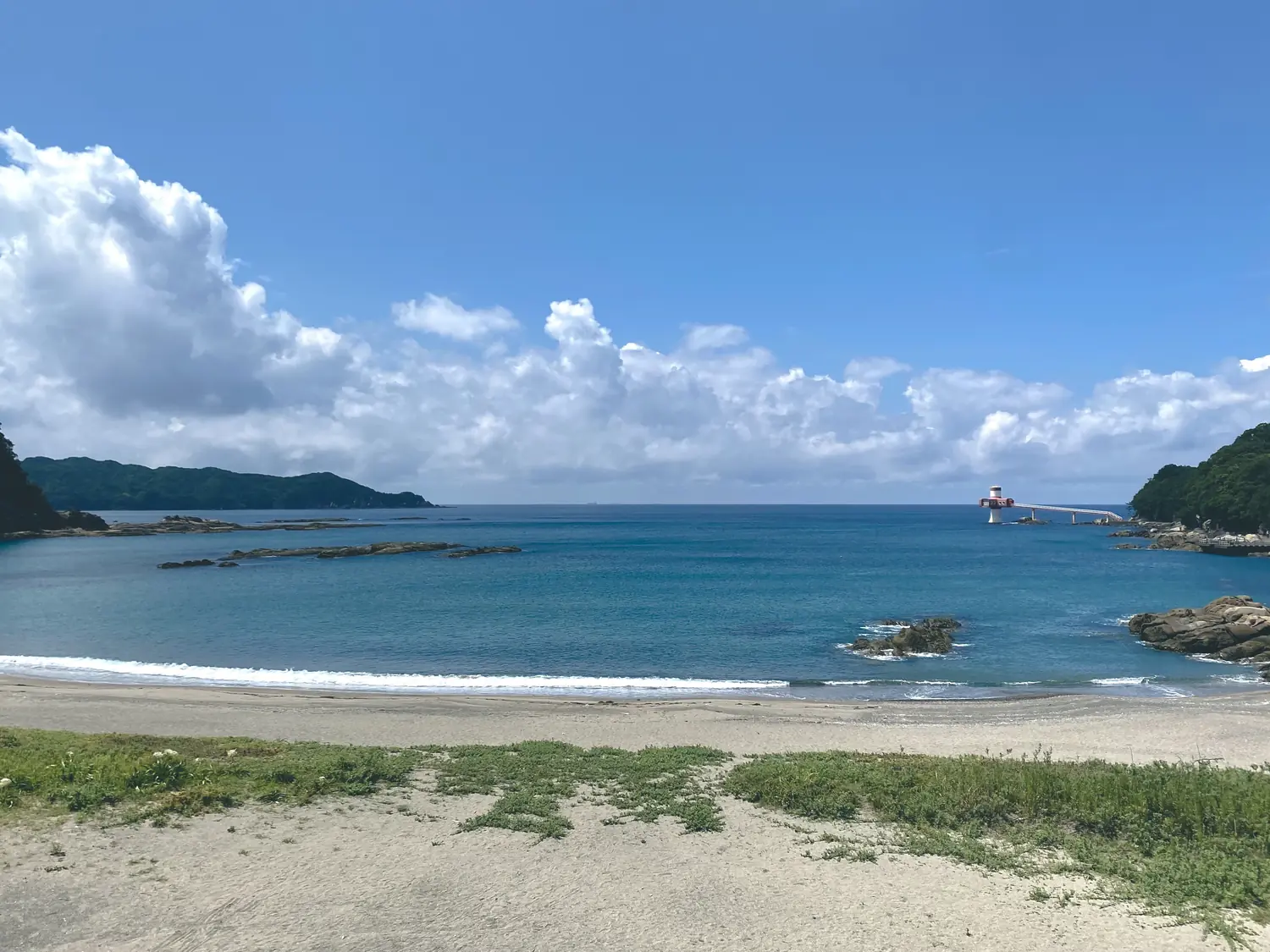 桜浜