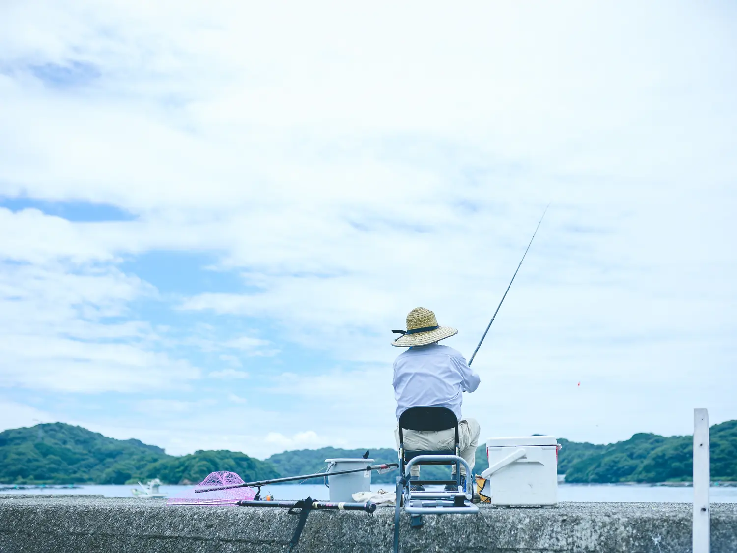 今日はアジが釣れたわ