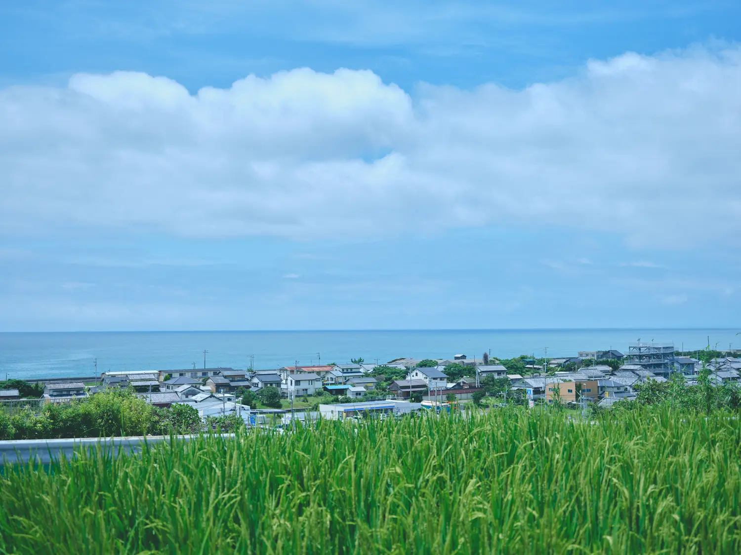 田んぼと海が近い