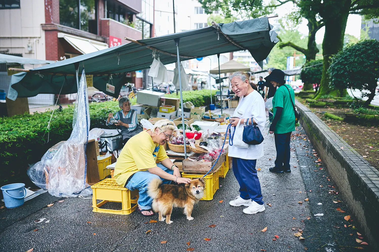 日曜市だけじゃない