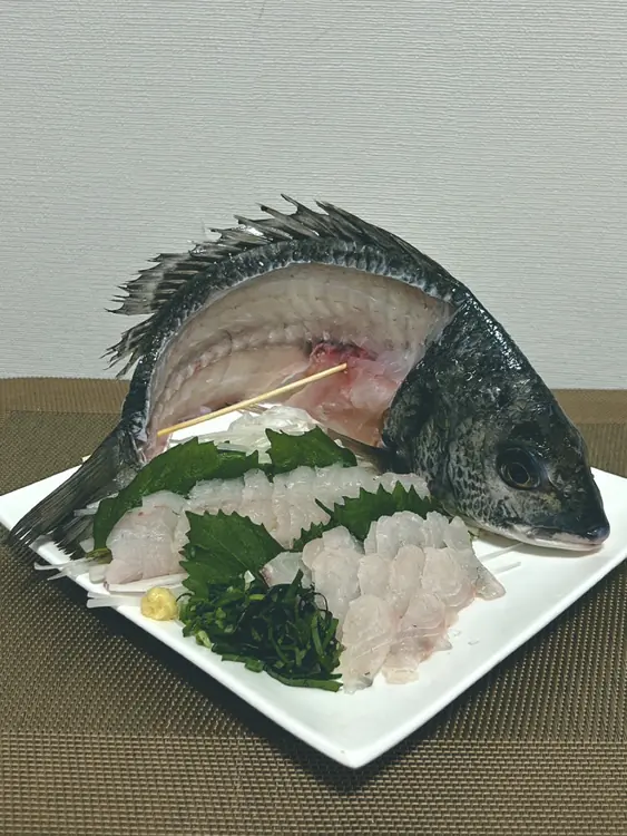 チヌの活け作り