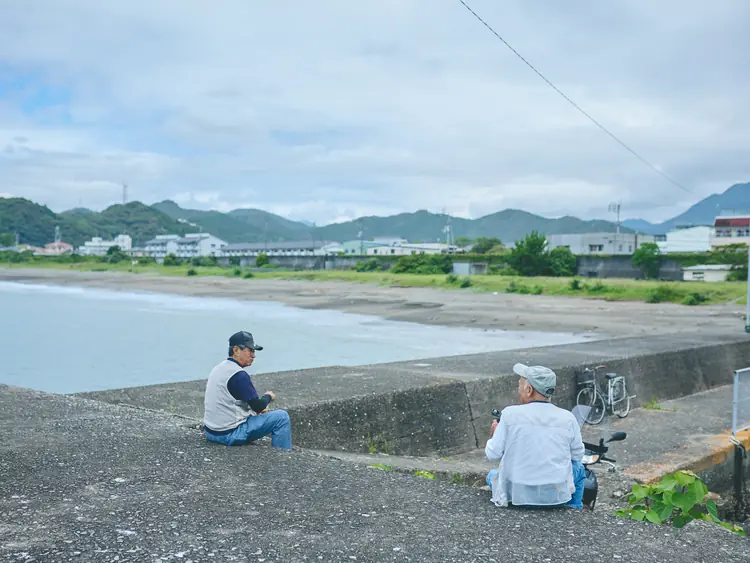 朝の堤防の風景