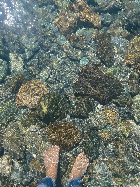 水の透明感が段違い