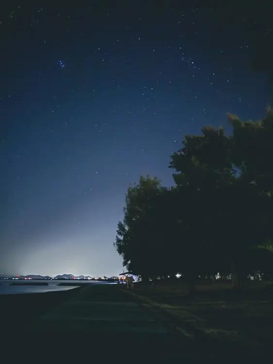 夜散歩
