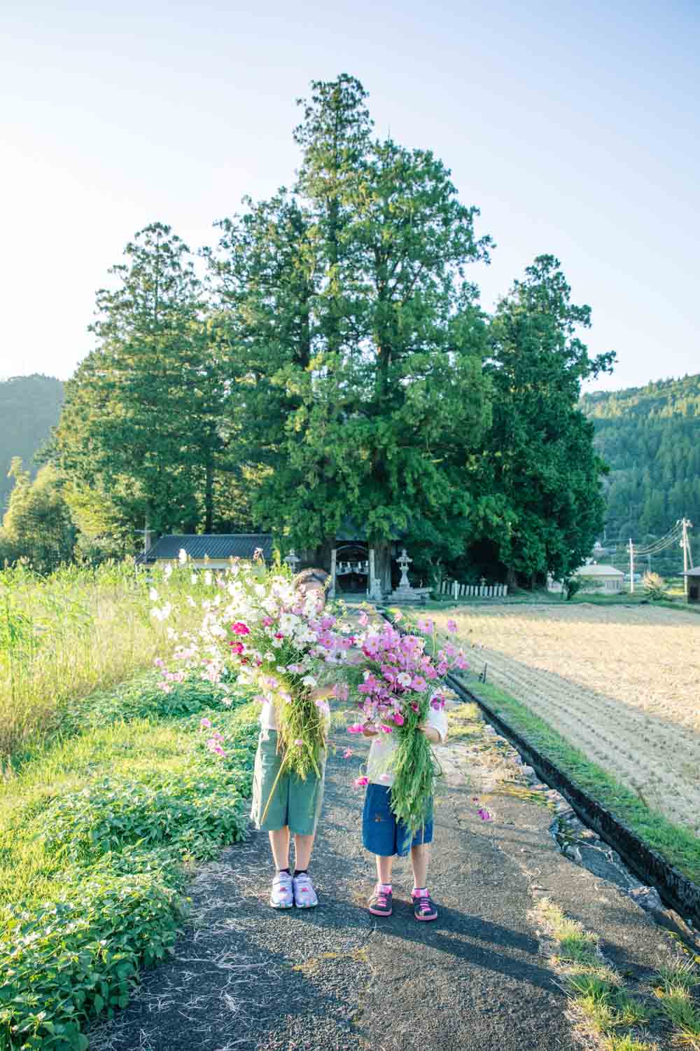 佐町　白髪神社