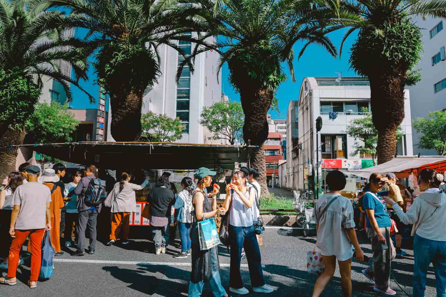 9月・高知市「日曜市」