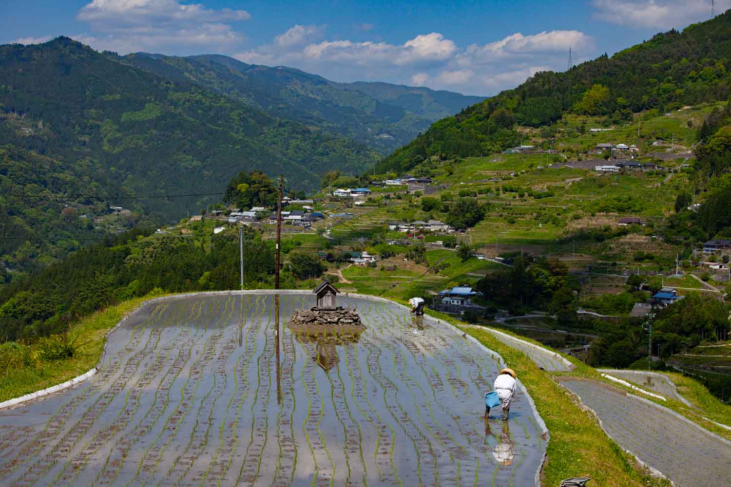 5月・大豊町「八畝」の棚田