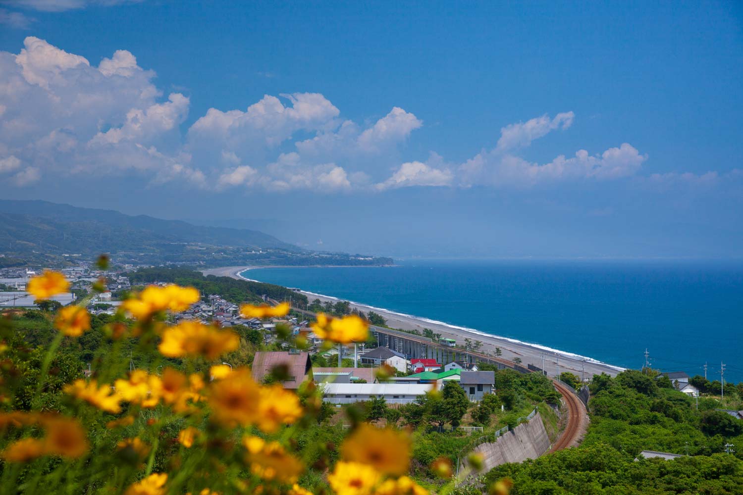 6月・芸西村「琴ケ浜」を行く「ごめん奈半利線」