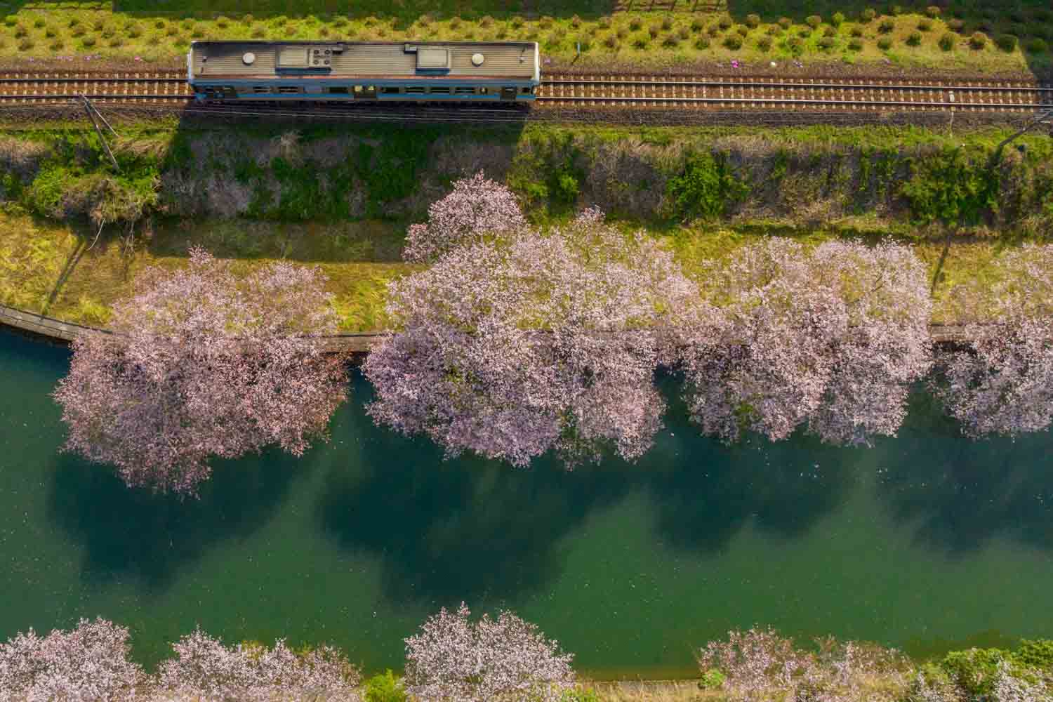 佐川町
