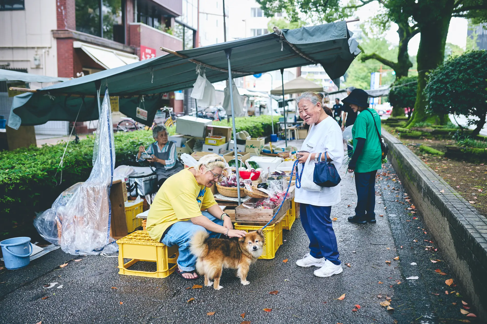 笑顔で並ぶ高知の人